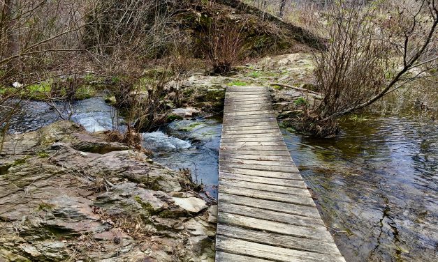 Coleman Lake Recreation Area Campground: Talladega National Forest, Alabama