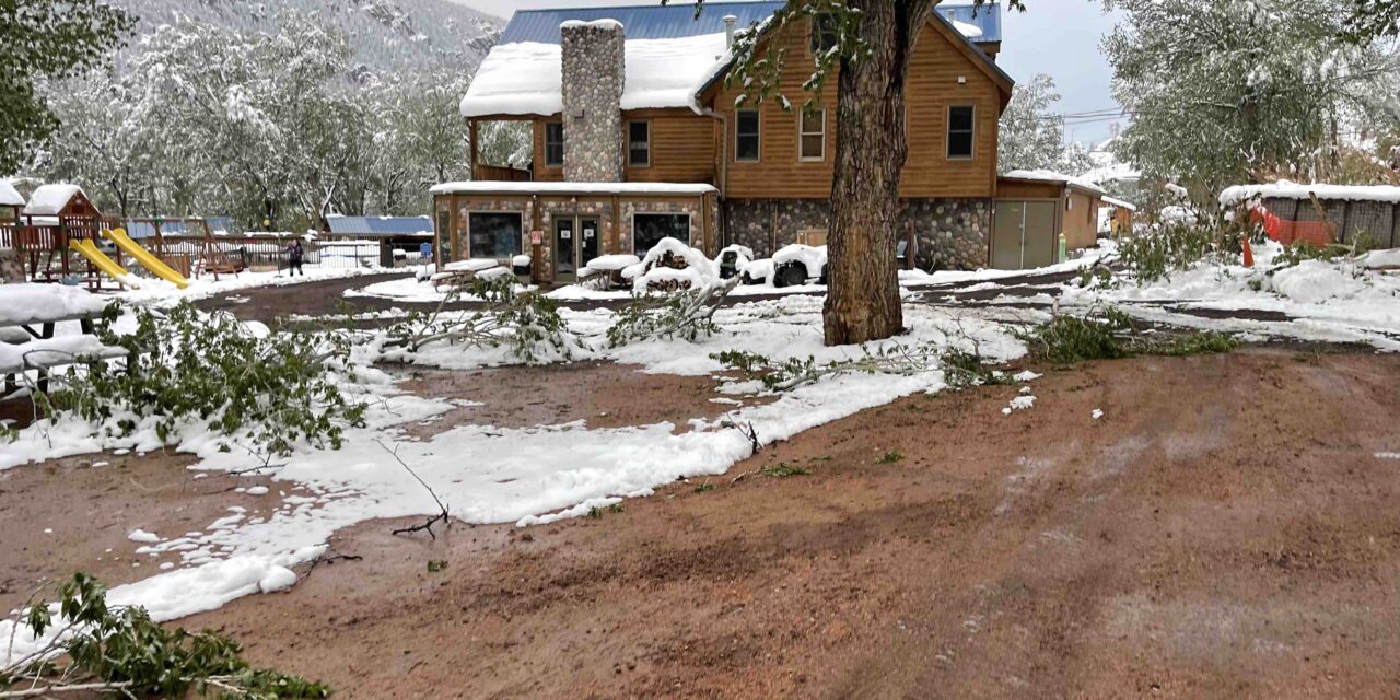 Lone Duck Campground: Cascade, Colorado