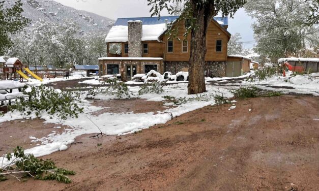 Lone Duck Campground: Cascade, Colorado